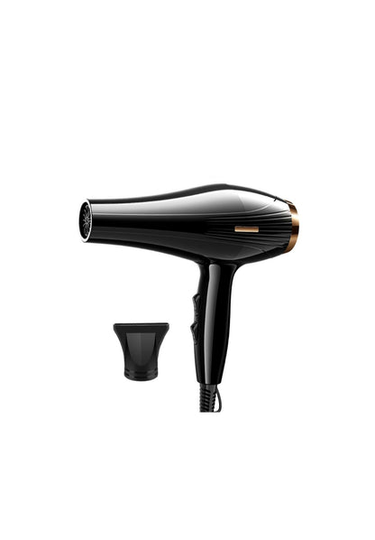 ✨ Secador Profesional de Cabello con Tecnología Iónica ✨